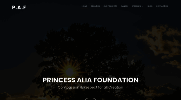 princessaliafoundation.org