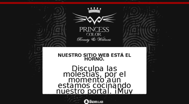 princesscolor.com.mx