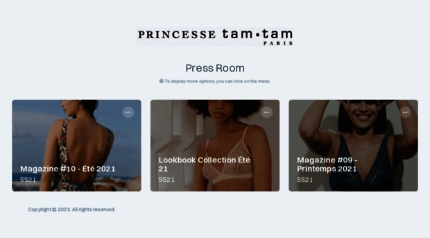 princessetamtam-press.com