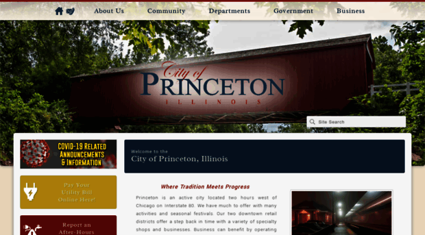 princeton-il.com