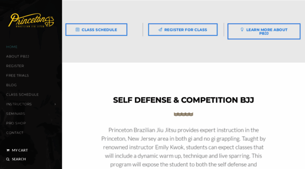 princetonbjj.com