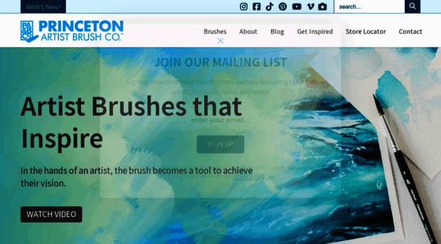 princetonbrush.com