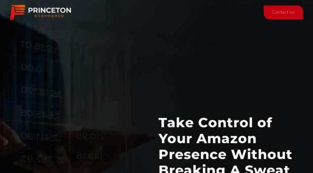 princetonecommerce.com