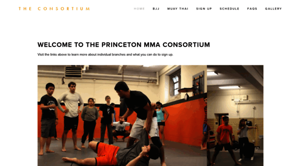 princetonmma.org