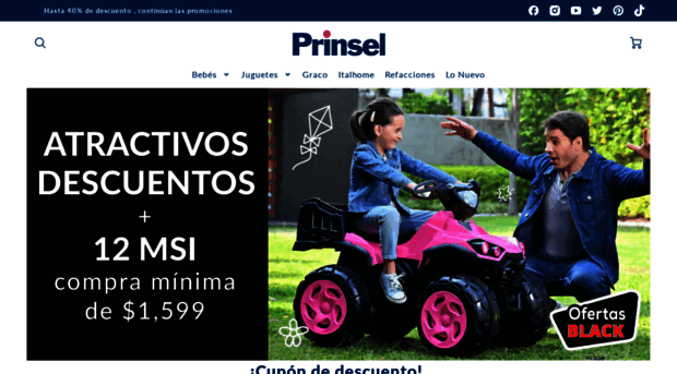 prinsel.com.mx