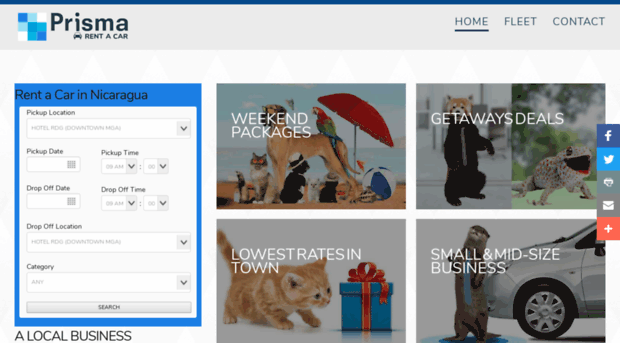prismarentacar.com