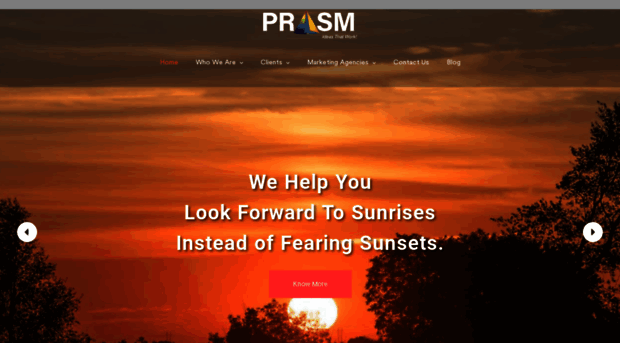 prismarketing.com