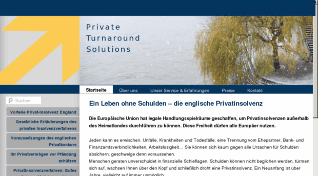 private-turnaround-solutions.com