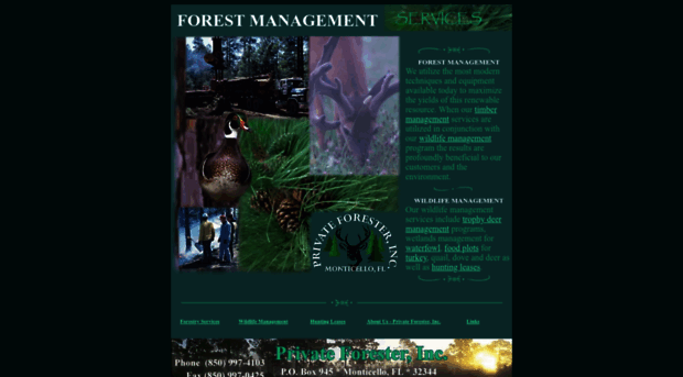 privateforester.com