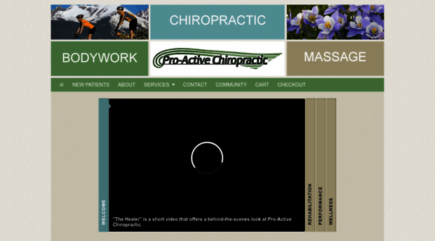 pro-active-chiro.com