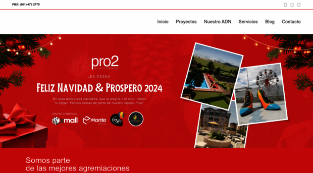 pro2.com.co