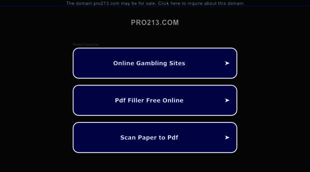 pro213.com