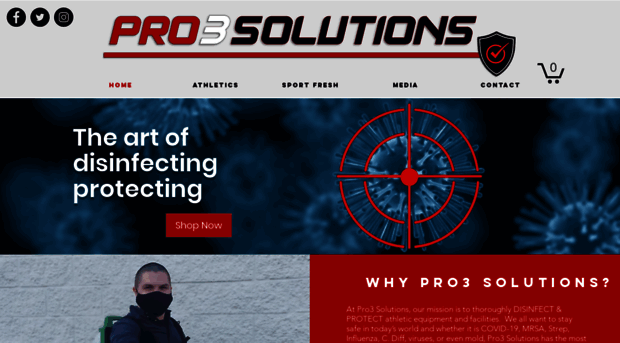 pro3solutions.com