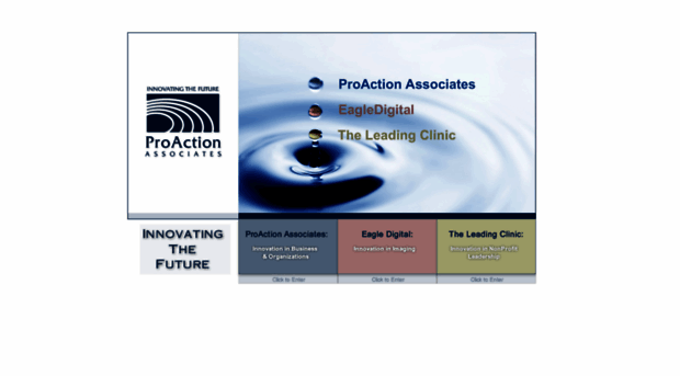 proactionassociates.com