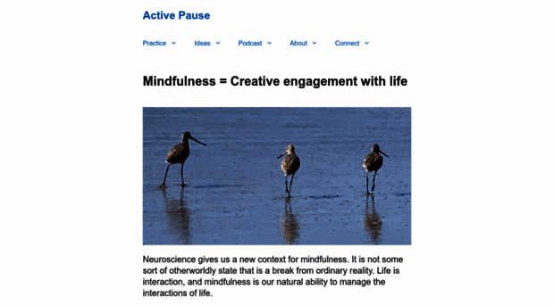 proactivemindfulness.com