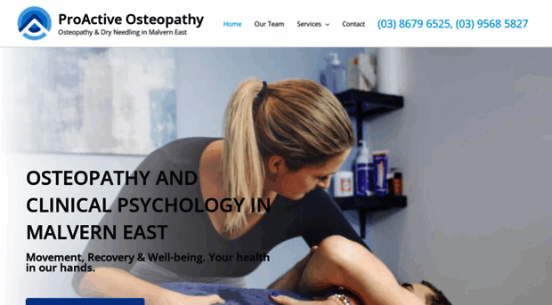 proactiveosteopathy.com.au