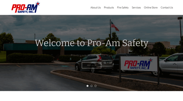 proamsafety.com