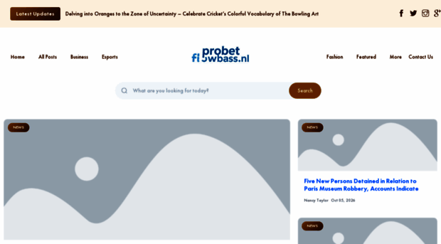 probetflowbase.nl
