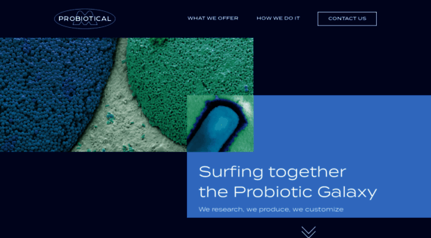 probiotical.com