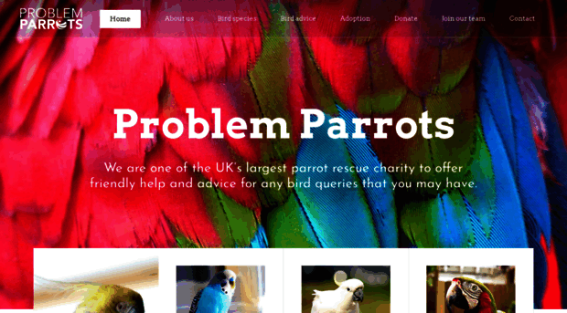 problemparrots.co.uk