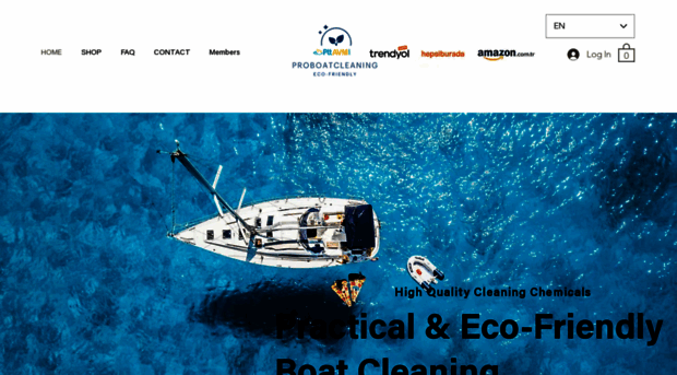 proboatcleaning.com