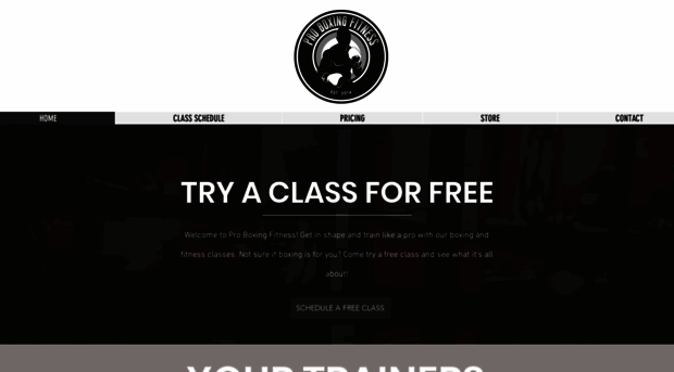 proboxingfit.com