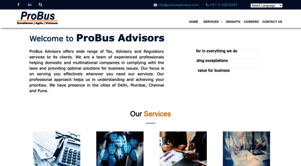 probusadvisory.com