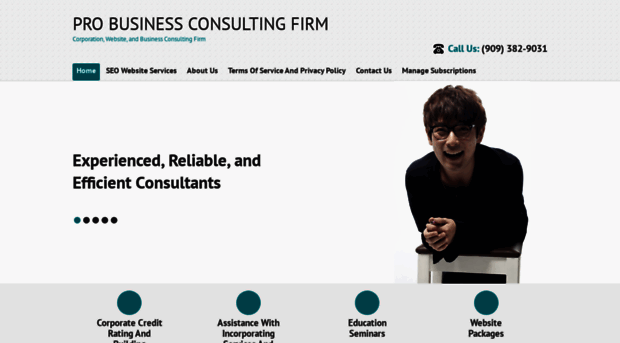 probusinessconsultingfirm.com