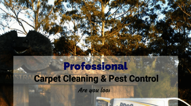 procarpetclean.com.au