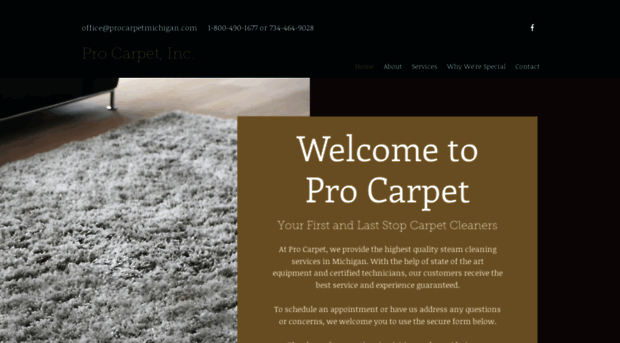 procarpetmichigan.com