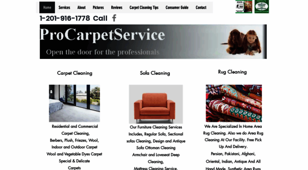 procarpetservice.com