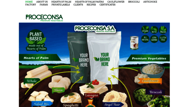 proceconsa.com