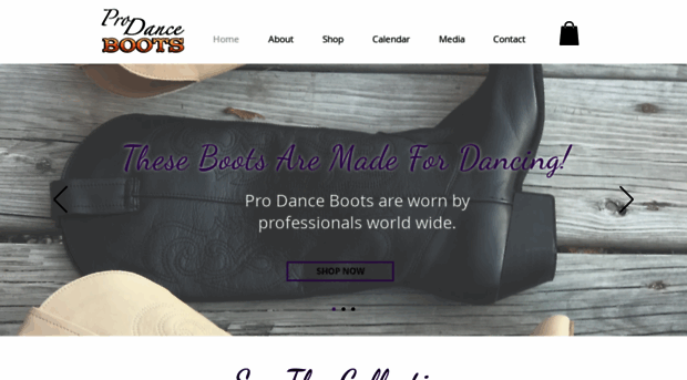 prodanceboots.com