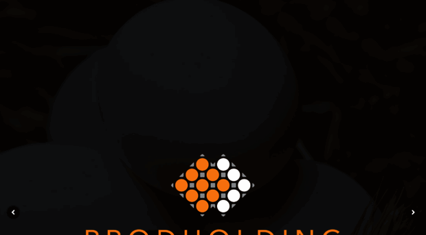 prodholding.com.ua