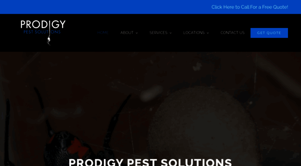 prodigypest.com