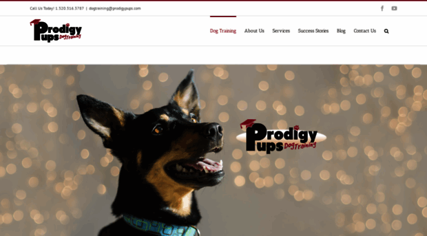 prodigypups.com