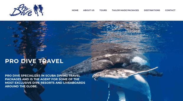 prodivetravel.co.za