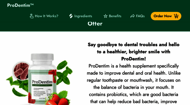 prodntim.com