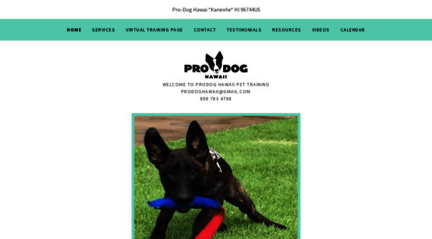 prodoghawaii.com