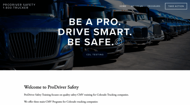 prodriversafety.com