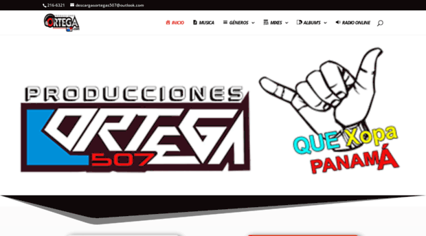 produccionesortega507.com