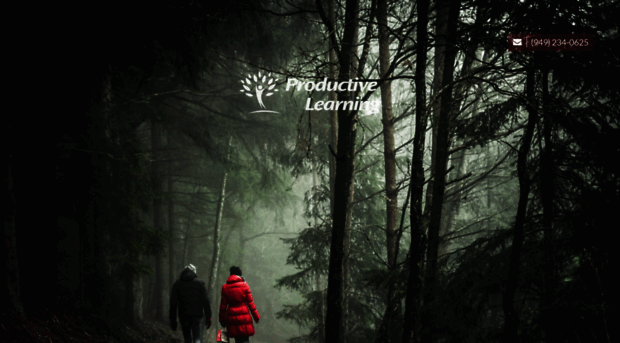 productivelearning.com