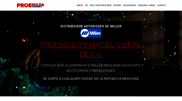 proesolda.com.mx