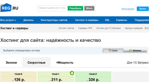 prof-hosting.ru
