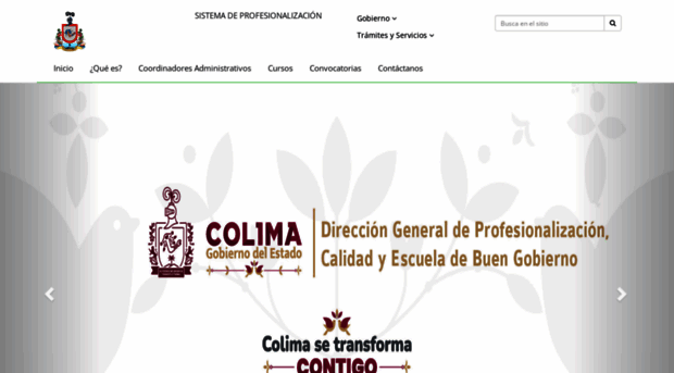 profesionalizacion.col.gob.mx