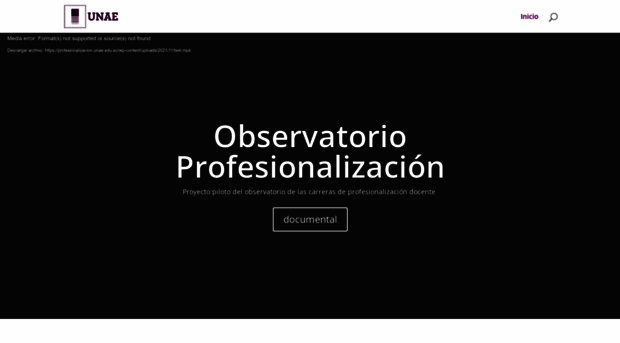 profesionalizacion.unae.edu.ec