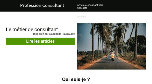 profession-consultant.com