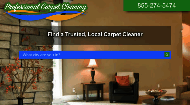 professional-carpet-cleaning-service.com