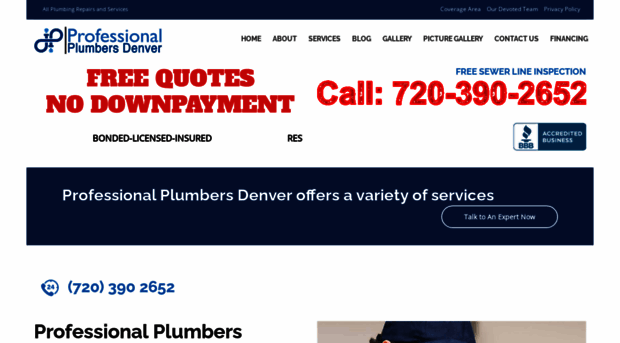 professional-plumbers-denver.com