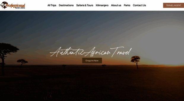 professional-safari-africa.com